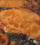 しょうが焼風豚カルパス
